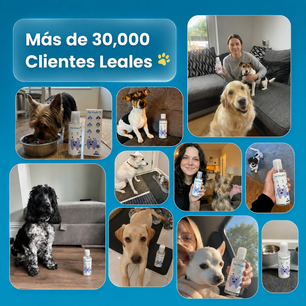 Liquido dental perritos