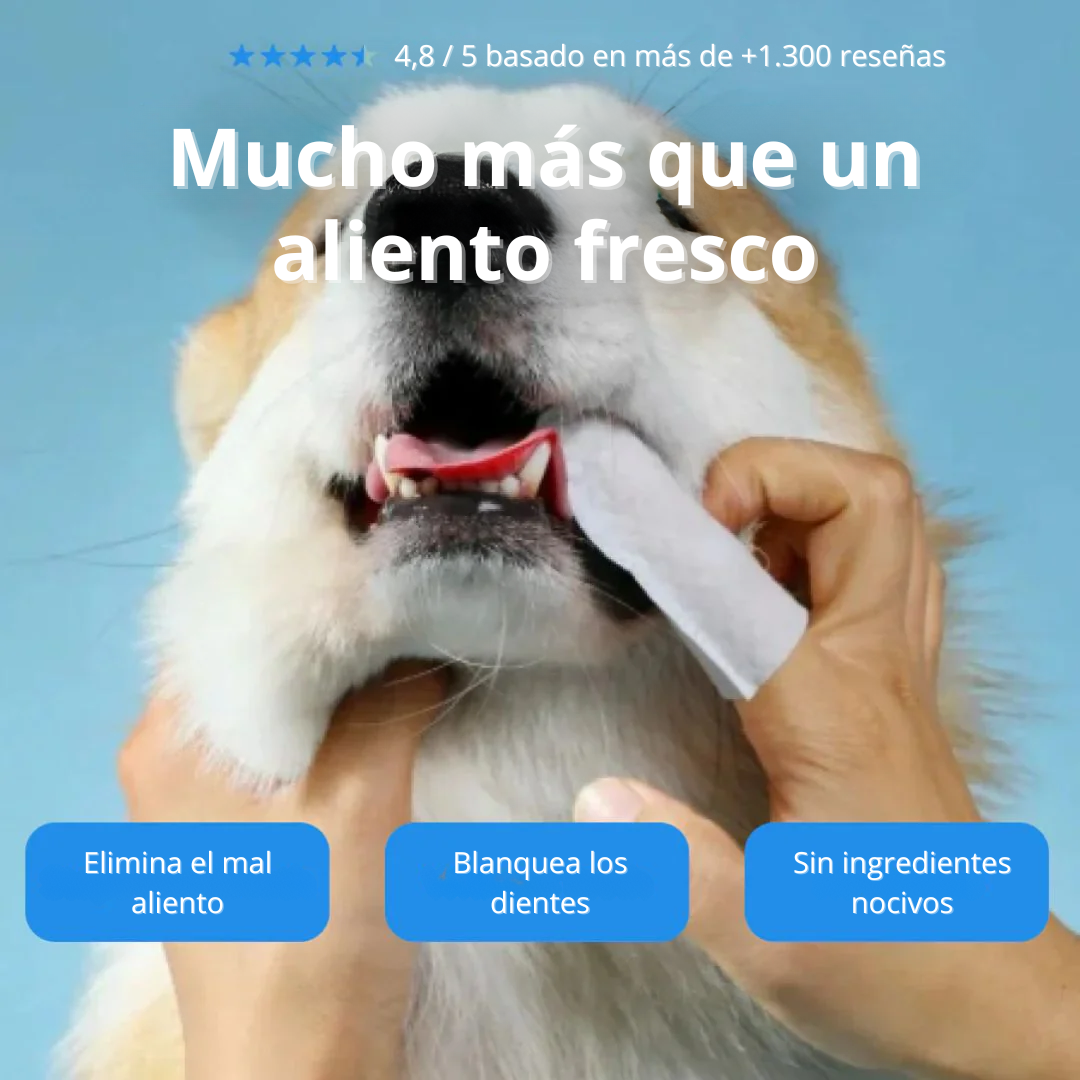 CareWipes™ Protege de problemas dentales a tu mascota
