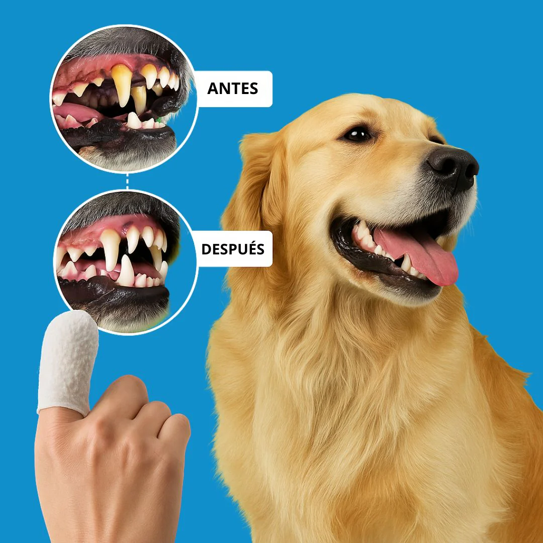 CareWipes™ Protege de problemas dentales a tu mascota