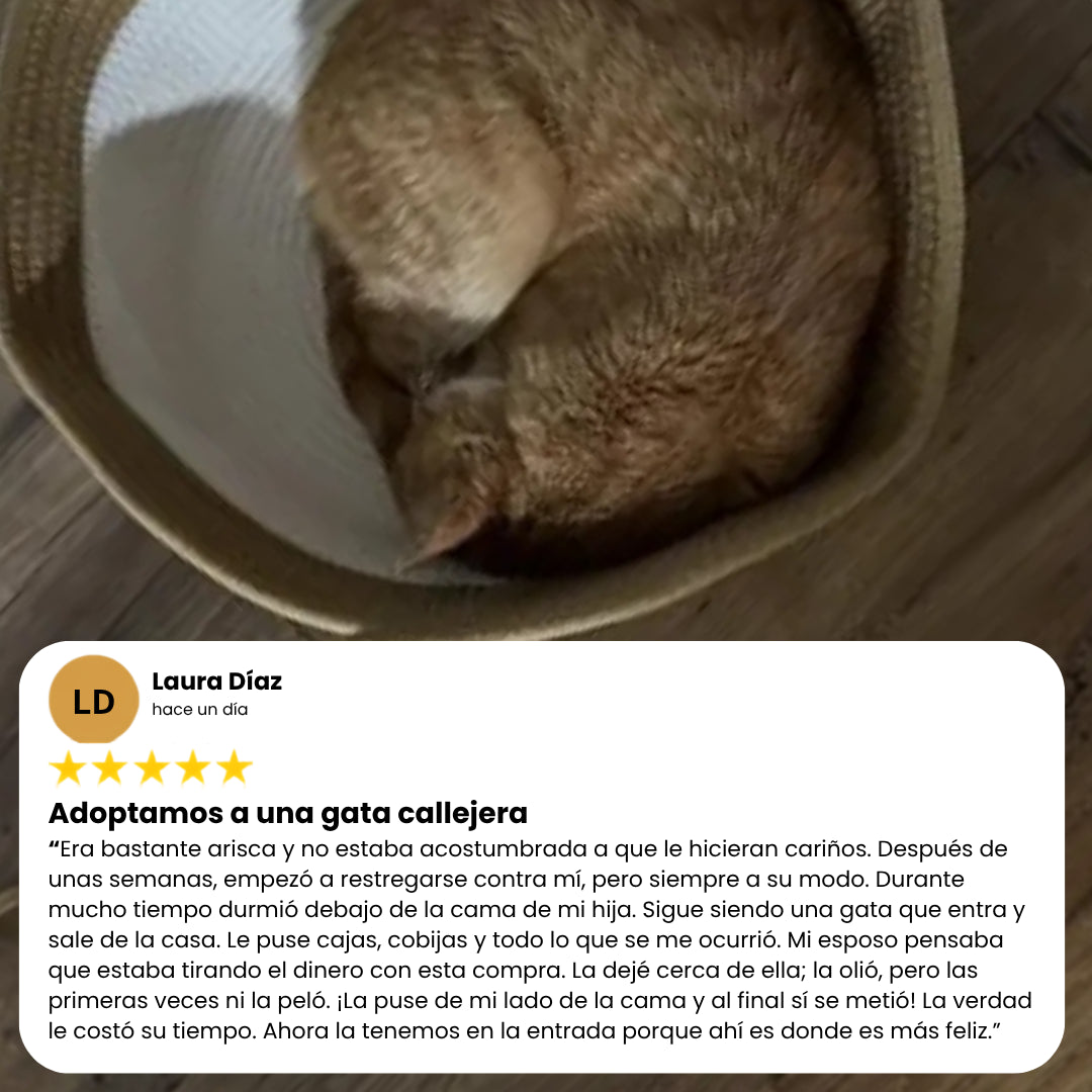 Natural Basket