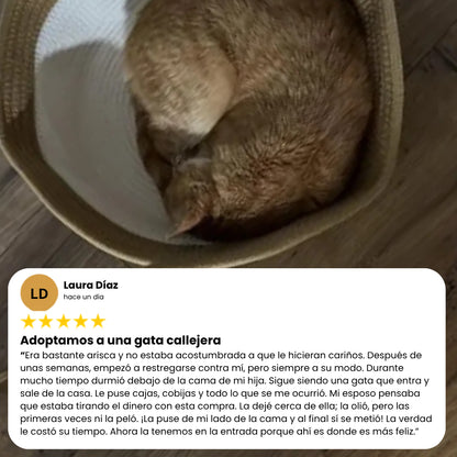Natural Basket