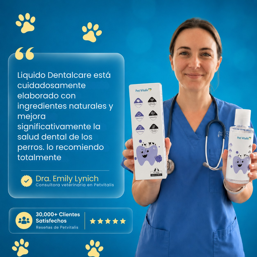 Liquido dental perritos
