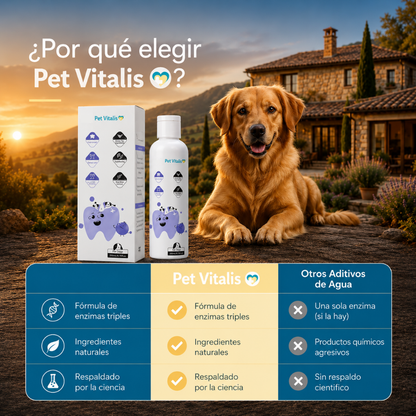 Liquido dental perritos