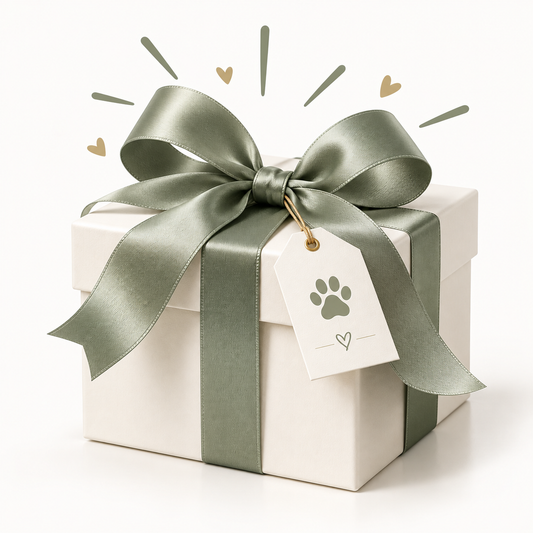 Regalo sorpresa Premium