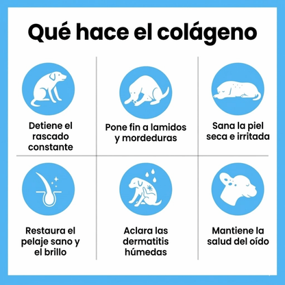Colágeno Líquido Regenerador