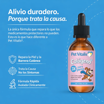 Colágeno Líquido Regenerador