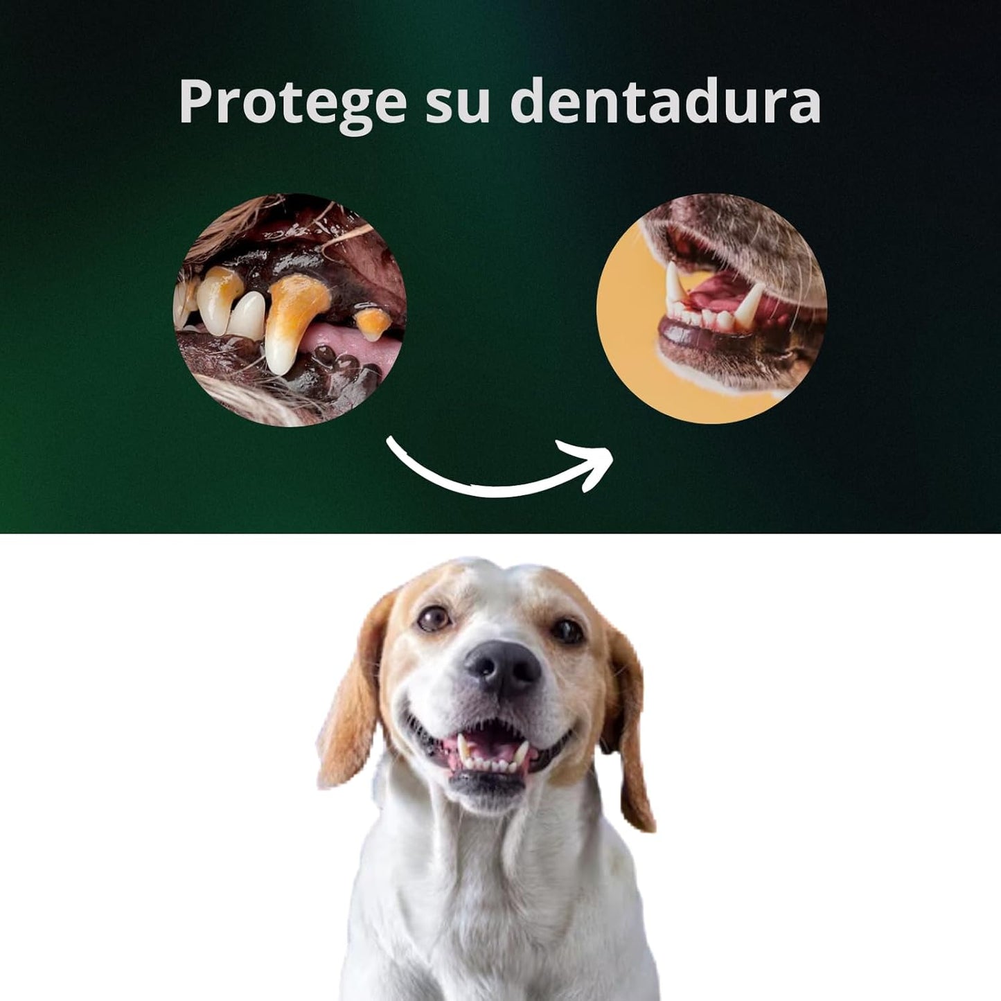 Pack 3 DentBall - Dientes sanos y Encías fuertes