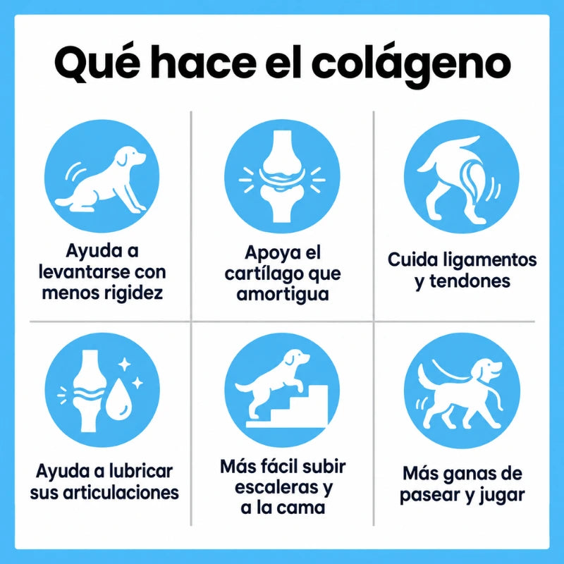 Colágeno Líquido para Articulaciones