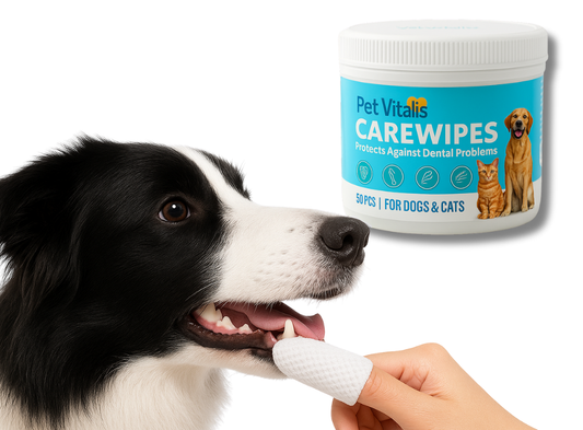 imágenes-web-dogvitalis55.png__PID:f7c97e42-9613-4784-a77c-6c6c5d58783b