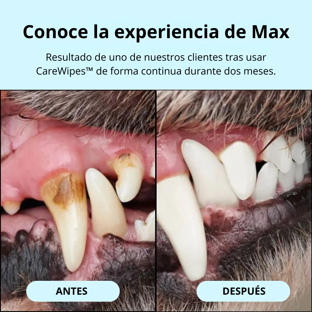 CareWipes™ Protege de problemas dentales a tu mascota