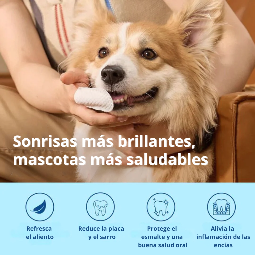CareWipes™ Protege de problemas dentales a tu mascota