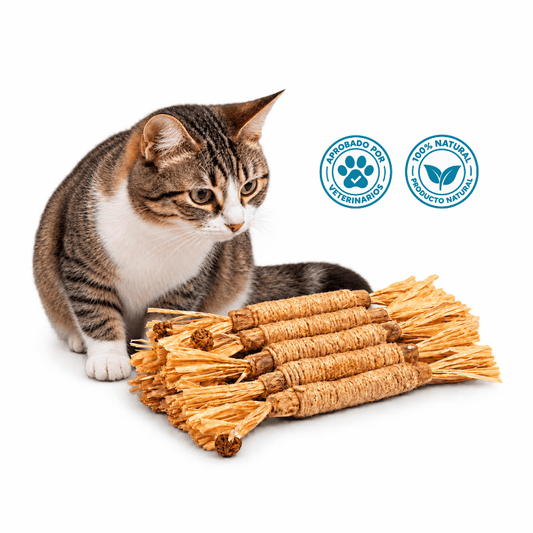 Sticks de limpieza dental para Gatos