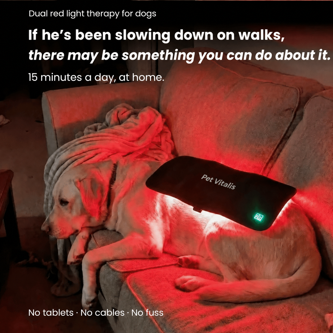 Pet Vitalis Dual Red Light Therapy pad for dogs