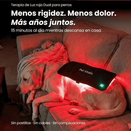 Terapia de Luz Roja Dual