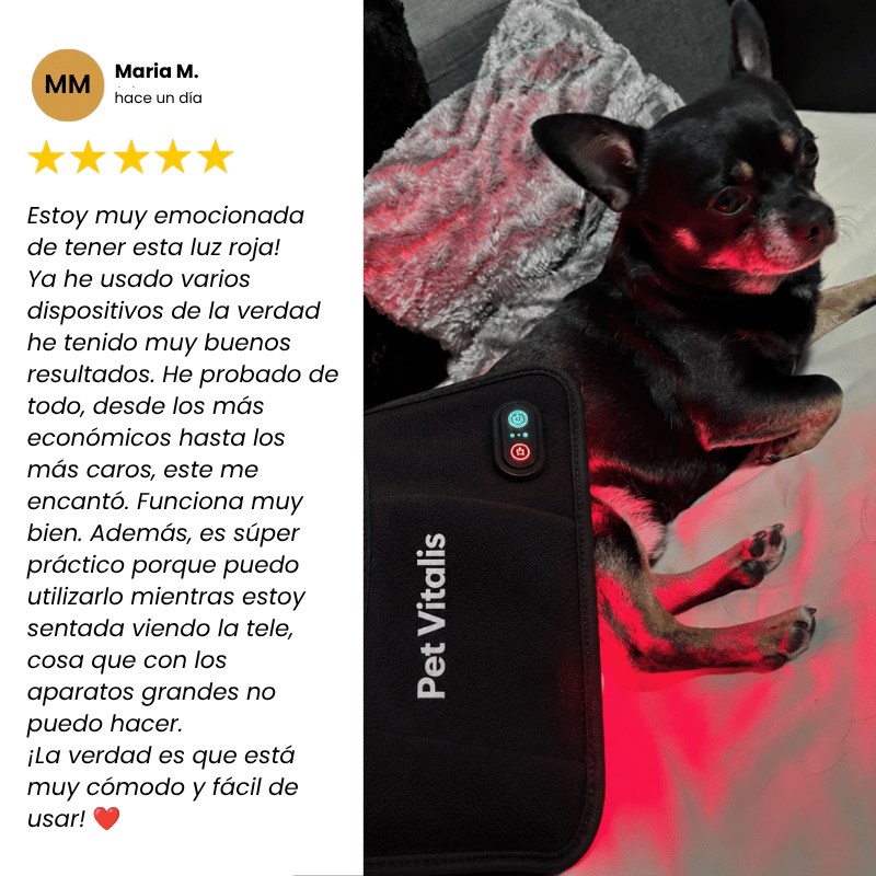 Terapia de Luz Roja Dual