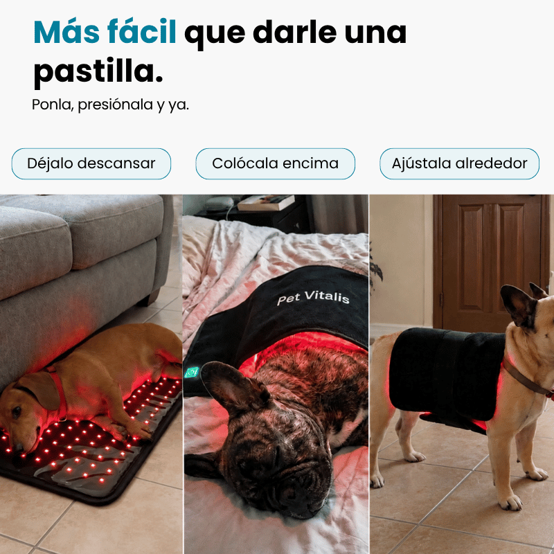Terapia de Luz Roja Dual